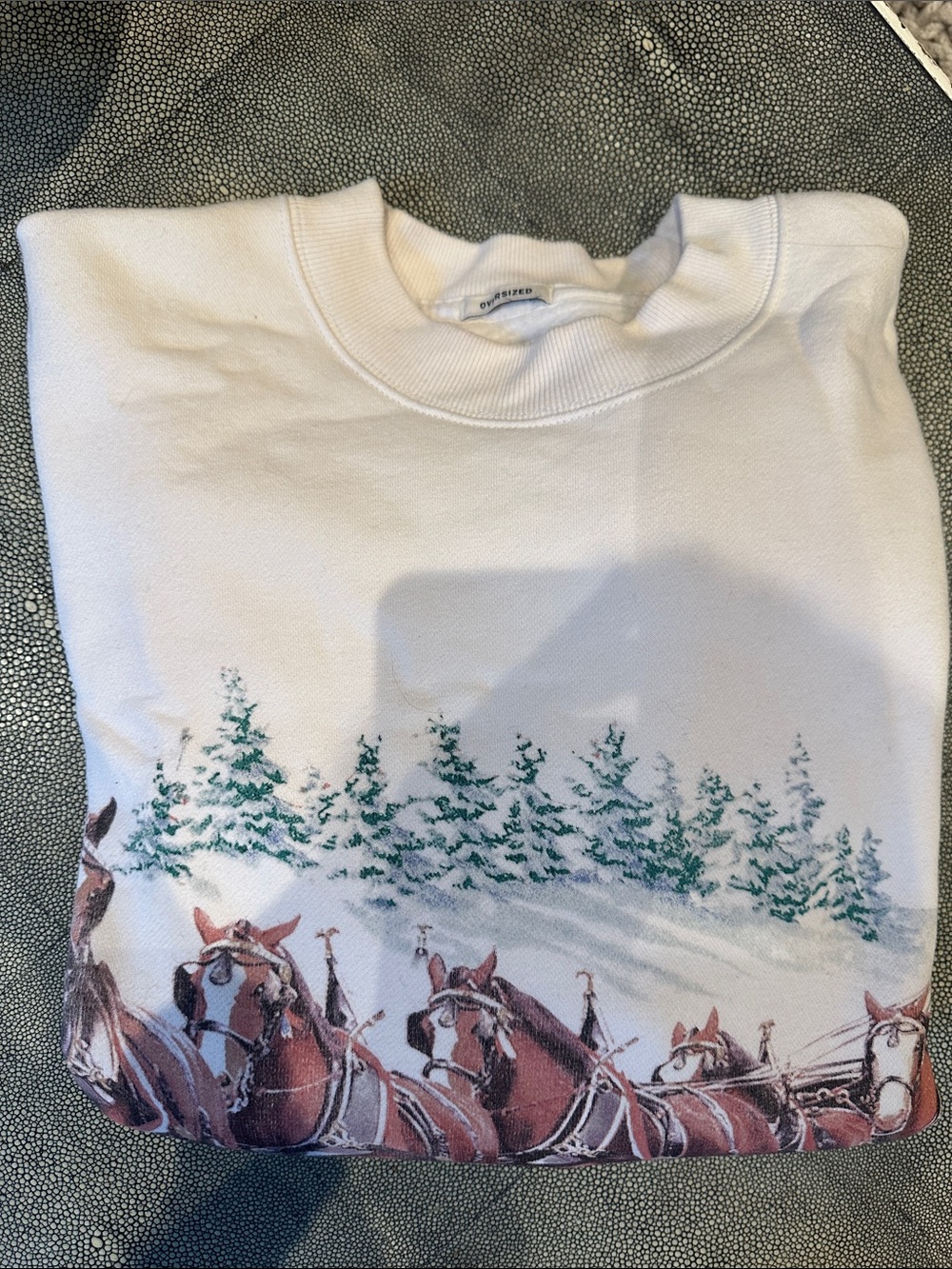 Abercrombie and Fitch Sweatshirt, Holiday Edition, excellent used condition - Picture 3 of 3